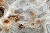Polished Crazy Lace Agate - Mexico #180549-1